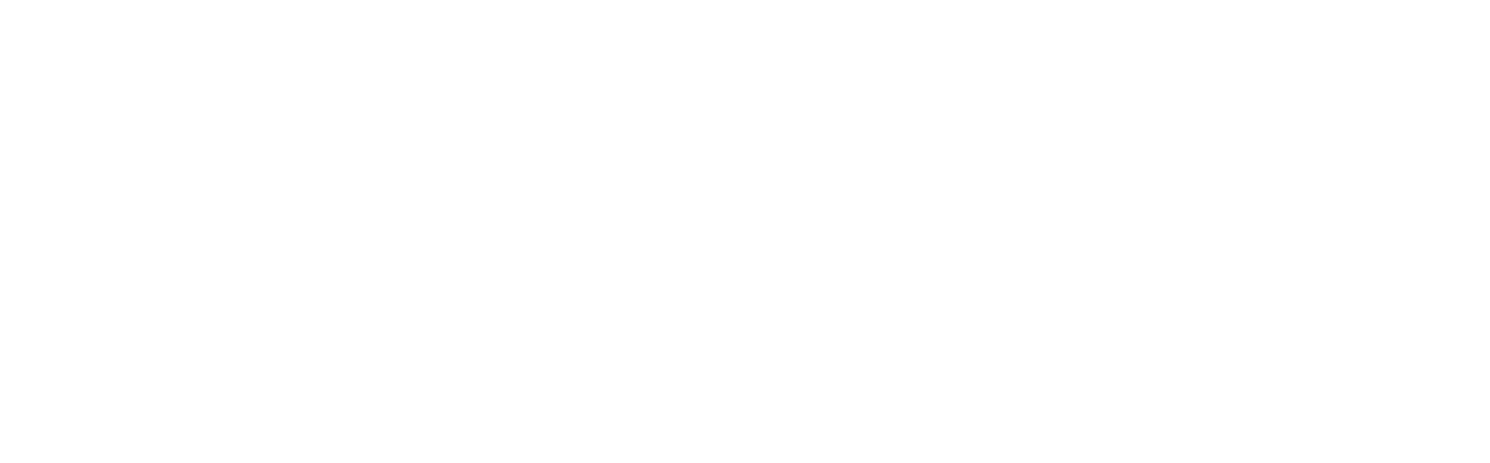 Rumble Venture Studio